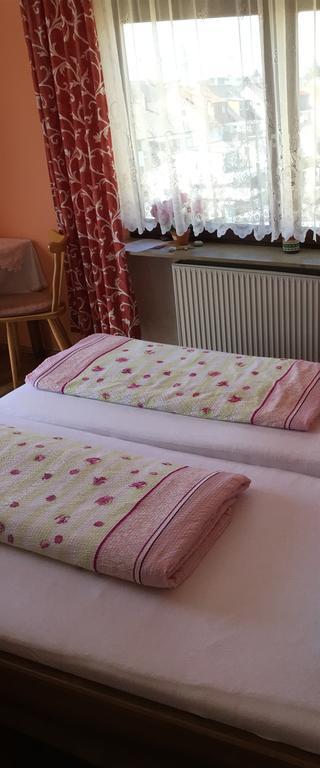 Gasthof Und Pension Mainzer Rad Schwetzingen Kültér fotó